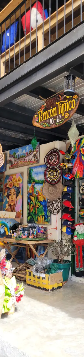 Markt Pasaje Rivas